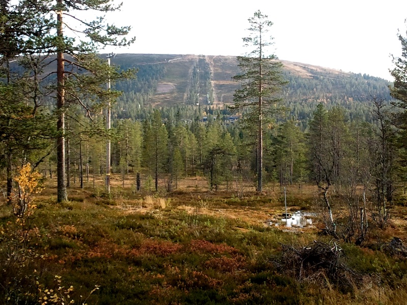 utsikt från Stugan